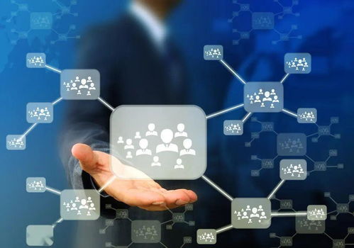 人口流失與技術(shù)變革 30萬(wàn)臨時(shí)居民撤離與人工智能應(yīng)用軟件開(kāi)發(fā)的交織影響